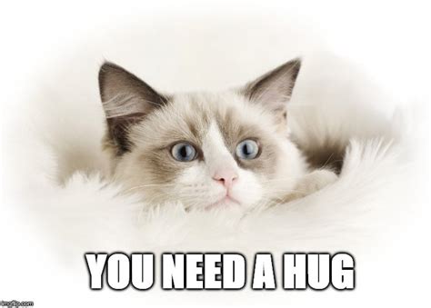 you need a hug meme